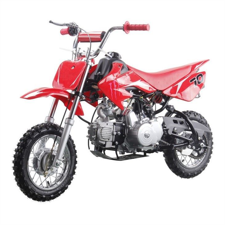 50cc kids pit bike (4)